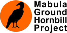 Mabula Ground Hornbill Project logo