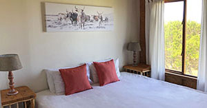 Nqabara Eco River Lodge Bedroom